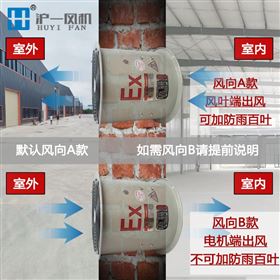 BAF防爆轴流风机 CBF纯铜电机排风扇
